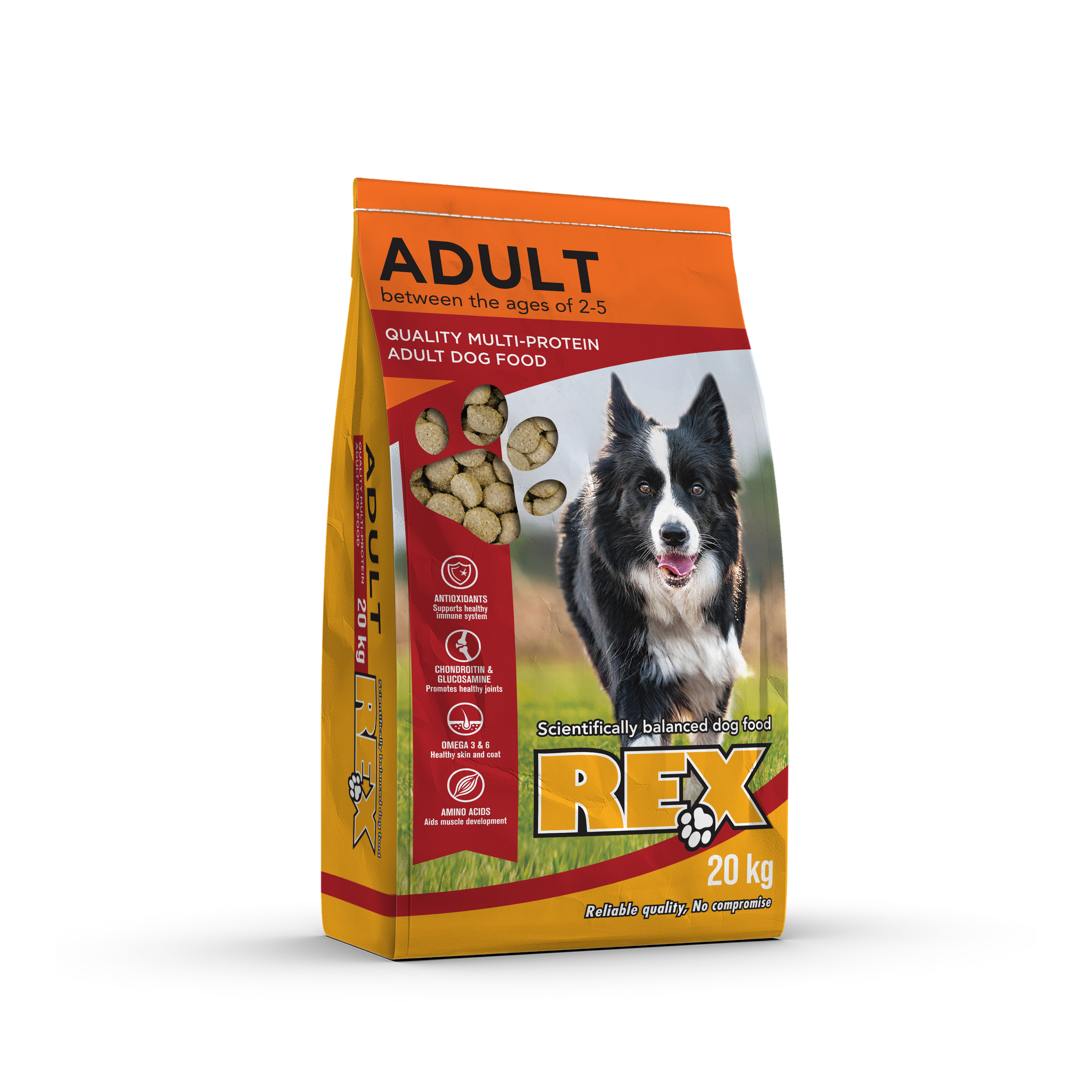 Rex - Adult 